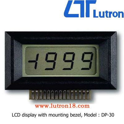 DP-30 直流表头(LCD)